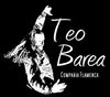 Fotos de Compañía Flamenca Teo Barea 0