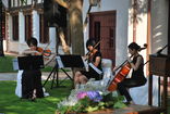 Mousikê a la Carta ೄ Música bodas ALBACETE foto 2