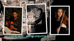 Flamenco Instrumental_0