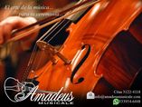 Coro y Orquesta Amadeus Musicale foto 2