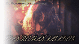 Flamenco Barcelona Compañías_0