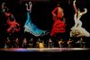Fotos de Coro Rociero Flamenco Acebuche 0