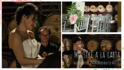 Mousikê a la Carta ೄ Música bodas ALBACETE_0