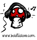 Boletus Love_1