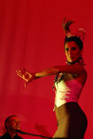 Cuadro Flamenco  Cristina Cañizares_1