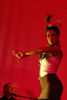 Fotos de Cuadro Flamenco  Cristina Cañizares 1