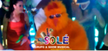 grupo musical sole _1