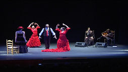 Compañía flamenco Manuel Alcaide_0
