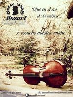 Ensamble Musical Mozart_0