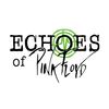 Echoes of Pink Floyd - Tributo