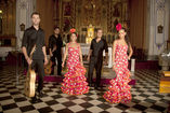 Flamenco Pura Sangre foto 1