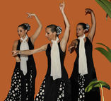 Baile Flamenco foto 2