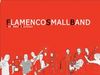 Flamenco Small Band 
