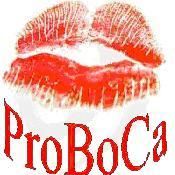 ProBoCa: Promoción del bolero_0