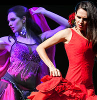Bailarina profesional de danza oriental y flamenco