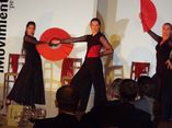 Flamencotanz Sabina Amadía foto 1