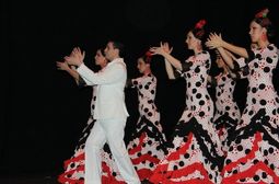 Cuadro Flamenco Zambra_0