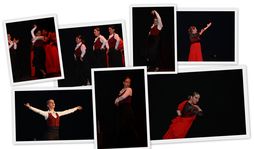 Baile Flamenco_0