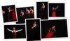 Fotos de Baile Flamenco 0
