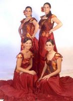 Grupo de baile flamenco español el parral_0