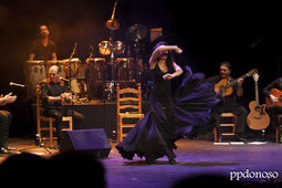 Flamenco Pura Sangre_0