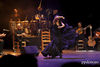 Fotos de Flamenco Pura Sangre 0