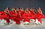cuadro flamenco para evento