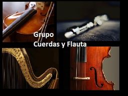 Cuerdas y Flauta_0