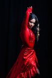 Tauro Flamenco Espectáculos_1