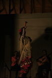 Cuadro Flamenco La Barrosa_2