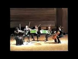 Violinistas profesionales en V_0