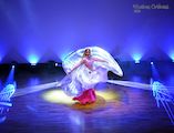 Espectáculos de Danza del vientre en Granada foto 2