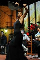 Coro Rociero/Flamenco SAVIA y COMPÁS