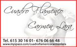 Cuadro Flamenco Murcia