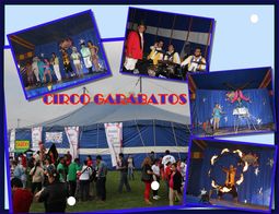 Carpa de Circo para Fiestas y Eventos _0