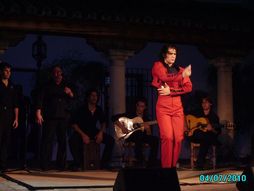 Angel Reyes Baile Flamenco_0