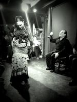 Cuadro Flamenco_0