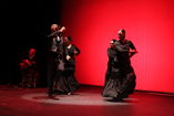 Compañía flamenco Manuel Alcaide foto 2