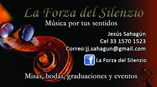 Coro Bodas /XV años- Coro La Forza del Silenzio foto 2