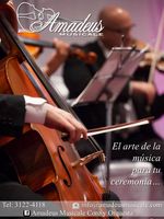 Coro y Orquesta Amadeus Musicale_0