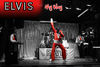 Fotos de Elvis My Way - Tributo a Elvis 2
