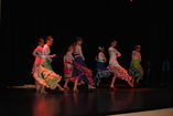Compañía Pasion Flamenca foto 1