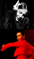 Cursos de flamenco 2010/11