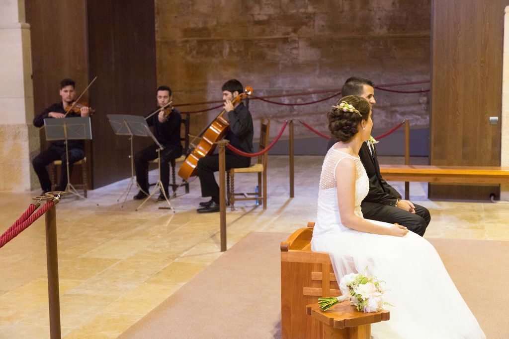 trio alacoda 1