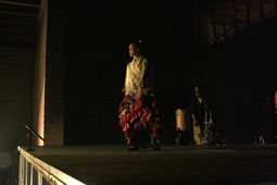 Cuadro Flamenco La Barrosa_0