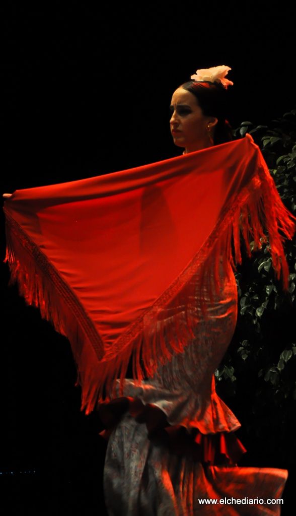 raíces grupo flamenco 2