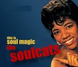B11 and the Soulcats foto 1