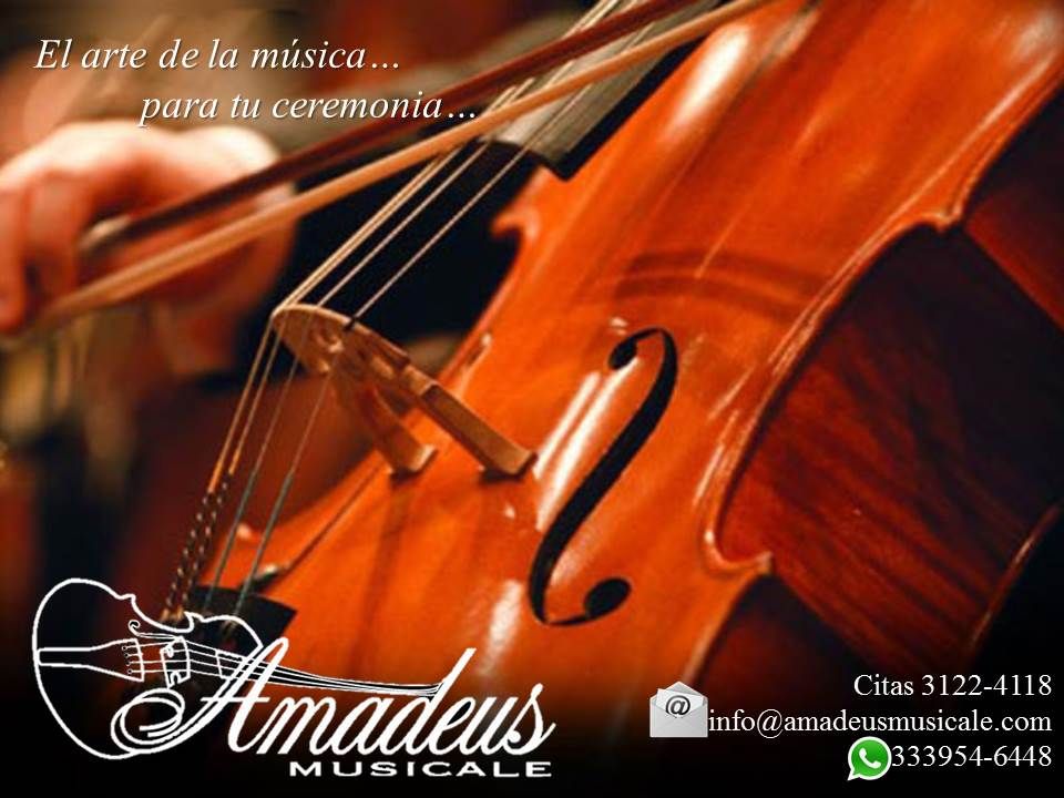 coro y orquesta amadeus musicale 2