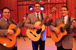 Trios para serenatas Bogotá