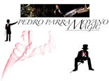 Pedro Parra Magic_1